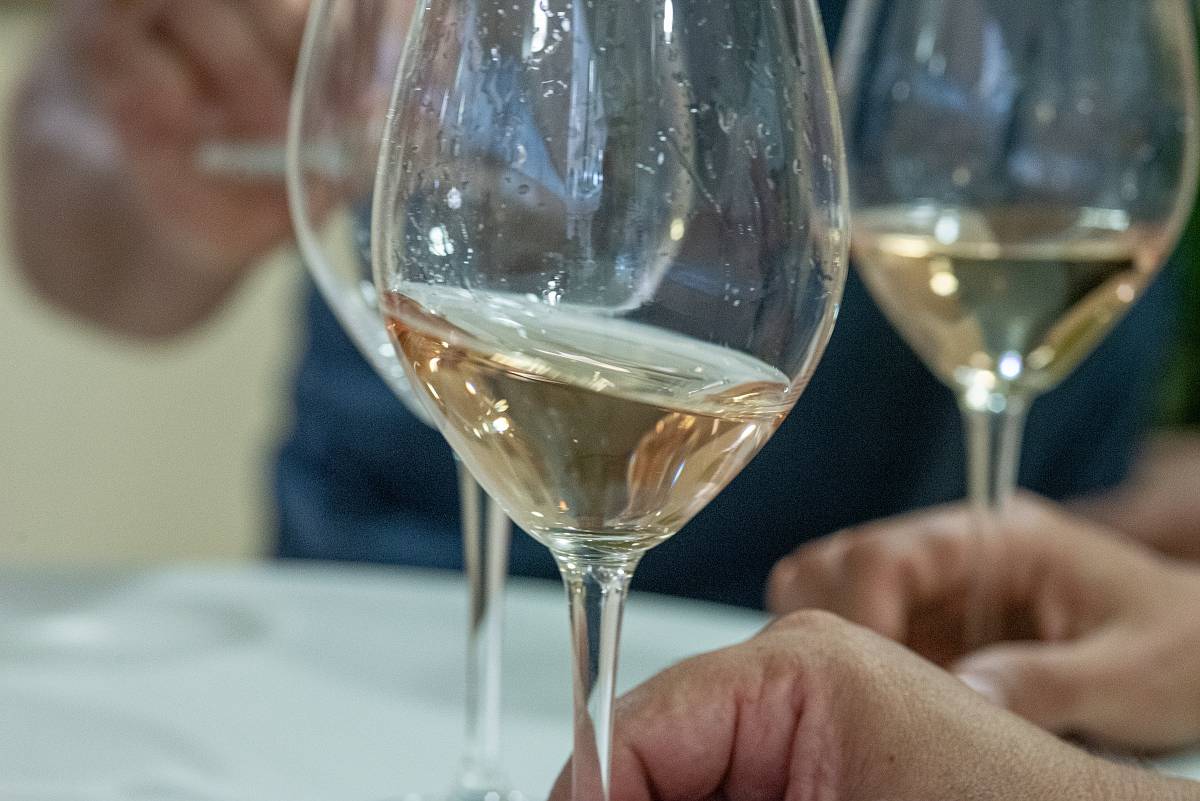 Verres de vin blanc pour dégustation